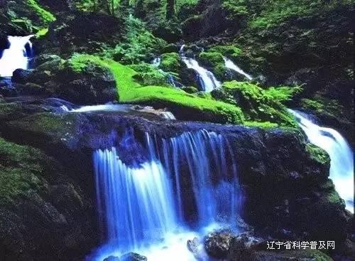 他一生为国为民,曾主政河南,后任北京市委第一书记,享年94岁